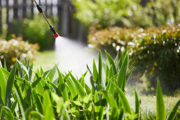 24/7 Emergency Cockroach Control experts in St. Petersburg, FL