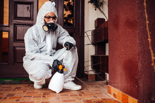 Reliable Cockroach Control contractor in St. Petersburg, FL by Nex Pest Control