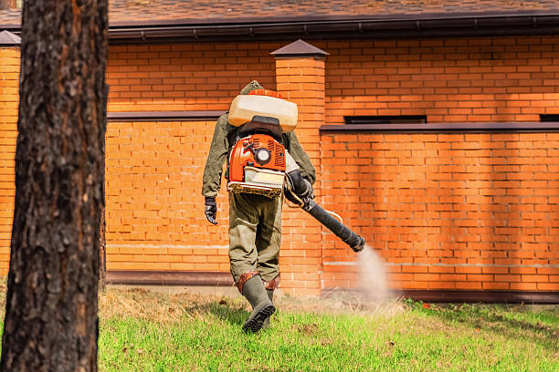 Trusted Rodent Control service in St. Petersburg, FL - Nex Pest Control